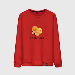 Свитшот хлопковый мужской МАНДАРИН КЛУБНИКА, цвет: красный