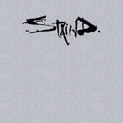 Свитшот хлопковый мужской Staind, цвет: меланж — фото 2