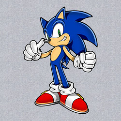 Свитшот хлопковый мужской Sonic, цвет: меланж — фото 2