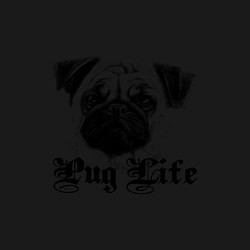 Свитшот хлопковый мужской Pug life, цвет: черный — фото 2