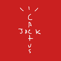 Свитшот хлопковый мужской CACTUS JACK, цвет: красный — фото 2