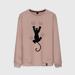 Свитшот хлопковый мужской Кот царапыч, цвет: пыльно-розовый