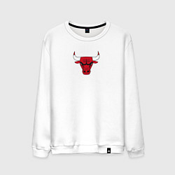 Свитшот хлопковый мужской CHICAGO BULLS, цвет: белый