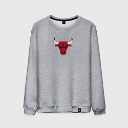 Свитшот хлопковый мужской CHICAGO BULLS, цвет: меланж