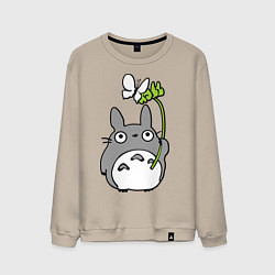 Свитшот хлопковый мужской Totoro и бабочка, цвет: миндальный