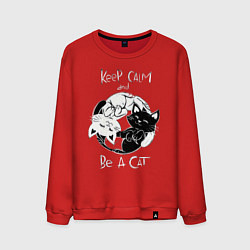 Свитшот хлопковый мужской Просто будь Котом, цвет: красный