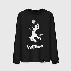 Свитшот хлопковый мужской Хайку, цвет: черный