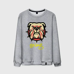 Мужской свитшот Bulldog SWAG