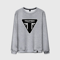 Свитшот хлопковый мужской Triumph Мото Лого Z, цвет: меланж