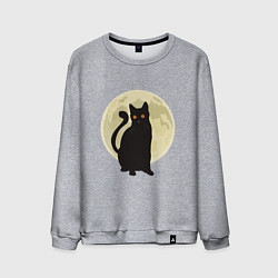 Свитшот хлопковый мужской Moon Cat, цвет: меланж