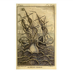 Свитшот хлопковый мужской Кракен, цвет: белый — фото 2