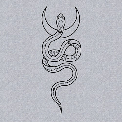 Свитшот хлопковый мужской Лунная змея, цвет: меланж — фото 2