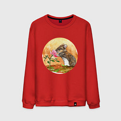 Свитшот хлопковый мужской Мышка и цветок, цвет: красный