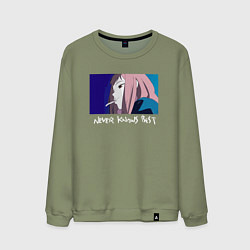 Свитшот хлопковый мужской Never knows best color, цвет: авокадо