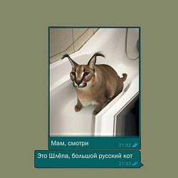 Свитшот хлопковый мужской Шлёпа, цвет: авокадо — фото 2