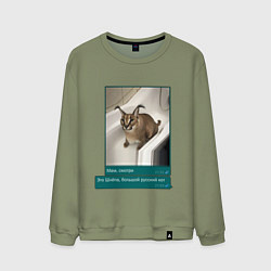 Свитшот хлопковый мужской Шлёпа, цвет: авокадо