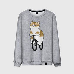Свитшот хлопковый мужской Котик на велосипеде, цвет: меланж