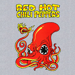 Свитшот хлопковый мужской RED HOT CHILI PEPPERS, цвет: меланж — фото 2