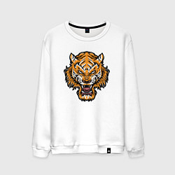 Свитшот хлопковый мужской Cool Tiger, цвет: белый