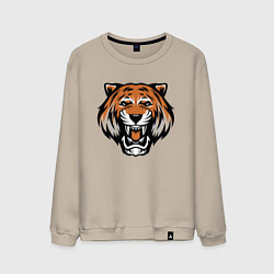 Свитшот хлопковый мужской Tiger Roar, цвет: миндальный