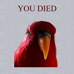 Свитшот хлопковый мужской Красный попугай, цвет: меланж — фото 2