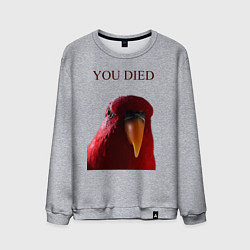 Свитшот хлопковый мужской Красный попугай, цвет: меланж