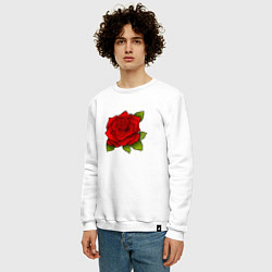 Свитшот хлопковый мужской Красная роза Рисунок, цвет: белый — фото 2