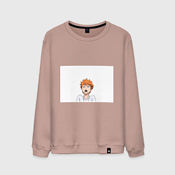 Мужской свитшот Haikyuu!!!
