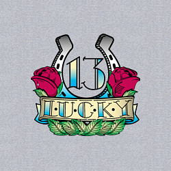 Свитшот хлопковый мужской Lucky 13, цвет: меланж — фото 2