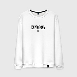 Свитшот хлопковый мужской Каргополь 1380 black III, цвет: белый