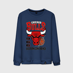 Мужской свитшот Chicago Bulls NBA