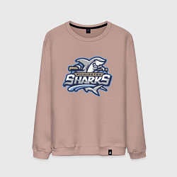 Мужской свитшот Wilmington sharks -baseball team