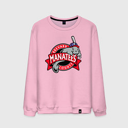 Мужской свитшот Brevard County Manatees - baseball team