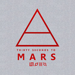 Свитшот хлопковый мужской 30 Seconds to Mars рок, цвет: меланж — фото 2