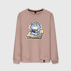 Свитшот хлопковый мужской The Magical Cat Yuumi, цвет: пыльно-розовый