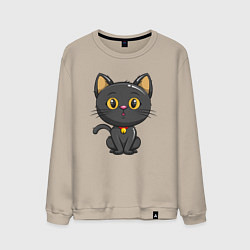 Свитшот хлопковый мужской Черный маленький котенок, цвет: миндальный