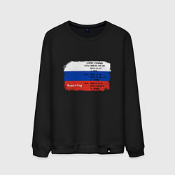 Мужской свитшот Для дизайнера Флаг России Color codes