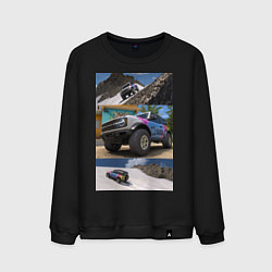 Мужской свитшот FORZA HORIZON 5 BRONCO