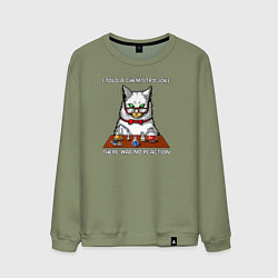 Свитшот хлопковый мужской Я рассказал химический анекдот, реакции не было, цвет: авокадо