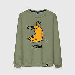 Свитшот хлопковый мужской Хоба! Прикольный кот, цвет: авокадо