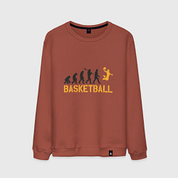 Свитшот хлопковый мужской Basketball Fly, цвет: кирпичный