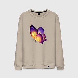 Мужской свитшот Красивая бабочка A very beautiful butterfly