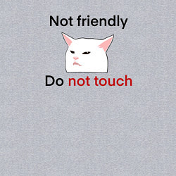 Свитшот хлопковый мужской Not friendly, do not touch, чёрный текст с мемным, цвет: меланж — фото 2