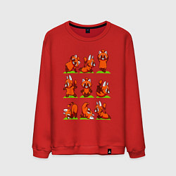 Свитшот хлопковый мужской Йога красной панды, цвет: красный
