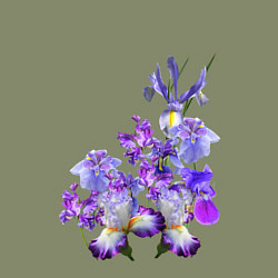 Свитшот хлопковый мужской Ириски Ирисы, цвет: авокадо — фото 2