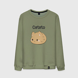 Свитшот хлопковый мужской Catato cotton, цвет: авокадо