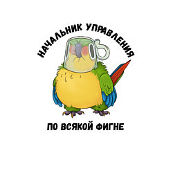 Свитшот хлопковый мужской Начальник всякой фигни, цвет: белый — фото 2