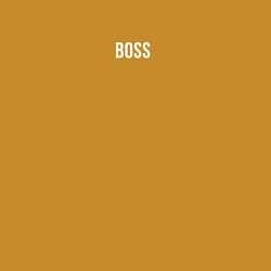 Свитшот хлопковый мужской Boss White Text, цвет: горчичный — фото 2