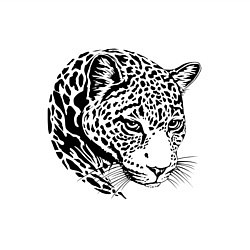 Свитшот хлопковый мужской POSING JAGUAR, цвет: белый — фото 2
