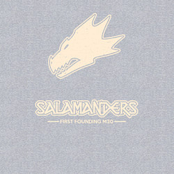 Свитшот хлопковый мужской Саламандры лого винтаж, цвет: меланж — фото 2